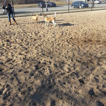 Sandy Shenanigans: Diving into Cedar Creek Park Dog Run in Seaford – Hicksville's Coastal Cousin 348s 1
