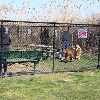 Oceanside Oasis: Surfing the Waves at Oceanside Park Dog Run – Hicksville's Tidal Treat 348s 2