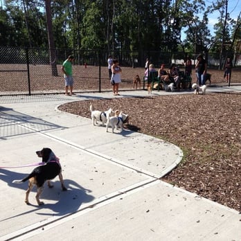 Tail-Waggers' Haven: Discovering the Oyster Bay Dog Park in Massapequa – A Quick Hop from Hicksville 348s