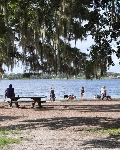 Grassy Gambols: Exploring Baldwin Park Dog Run in Baldwin – Hicksville’s Green Getaway