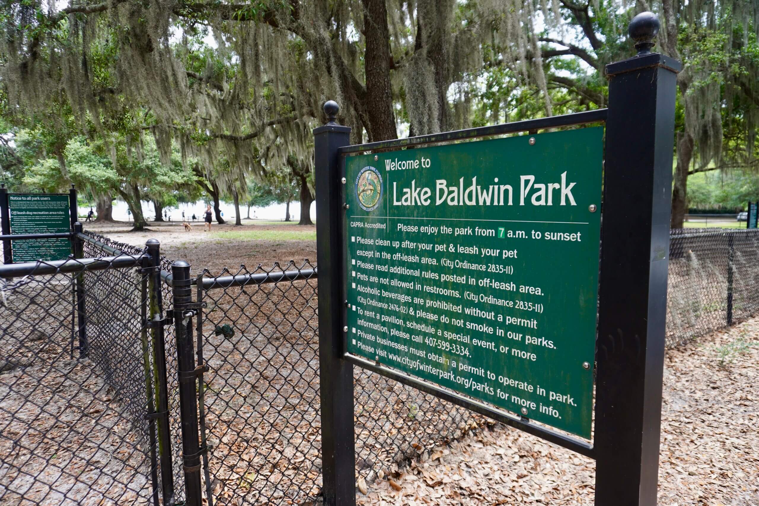 Grassy Gambols: Exploring Baldwin Park Dog Run in Baldwin – Hicksville's Green Getaway DSC01566 Scaled 1