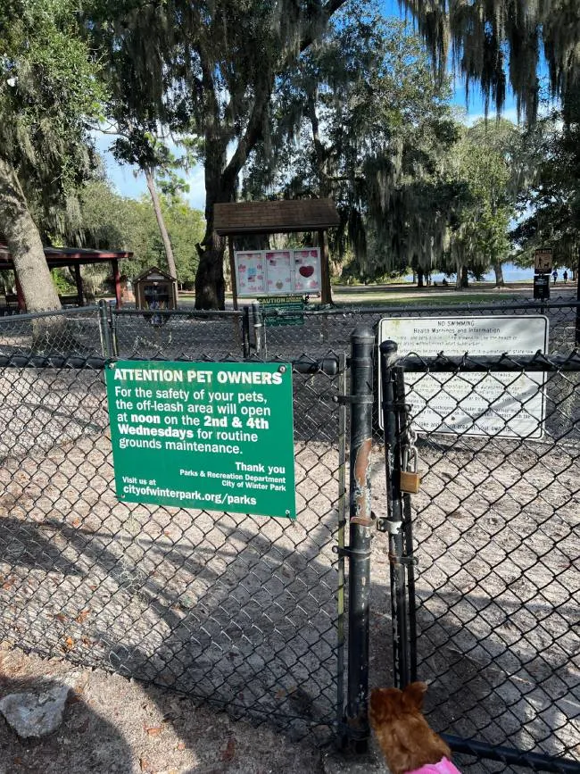 Grassy Gambols: Exploring Baldwin Park Dog Run in Baldwin – Hicksville's Green Getaway Dog Friendly Lake Baldwin Park Orlando FL