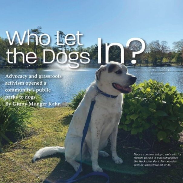 Oceanside Oasis: Surfing the Waves at Oceanside Park Dog Run – Hicksville’s Tidal Treat
