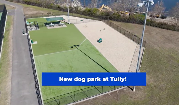 Barking Up Fun: Uncovering Tully Dog Park in New Hyde Park – Hicksville’s Hidden Gem