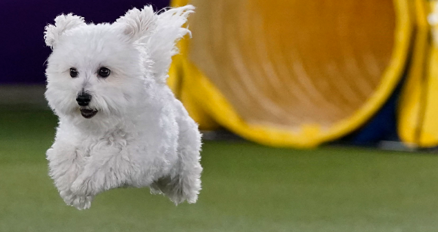 screenshot 2025 10 08 164146