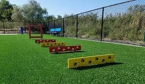 Paws and Play: Exploring Newbridge Road Dog Park in Bellmore – A Hicksville Neighbor's Delight Download 1