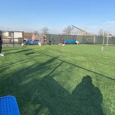 Paws and Play: Exploring Newbridge Road Dog Park in Bellmore – A Hicksville Neighbor's Delight Download 3