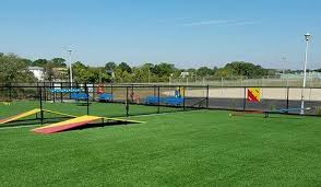 Paws and Play: Exploring Newbridge Road Dog Park in Bellmore – A Hicksville Neighbor’s Delight