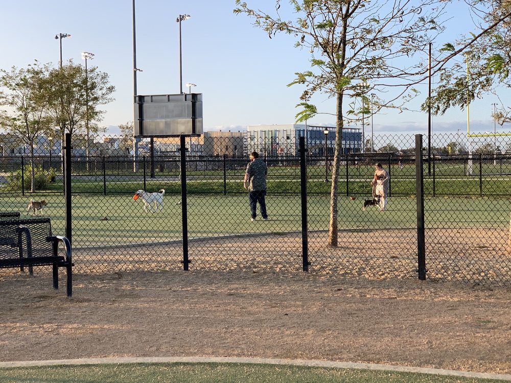 Bay Park Bliss: A Coastal Canine Guide to Bay Park Dog Run in East Rockaway – Hicksville's Seaside Sidekick O 8