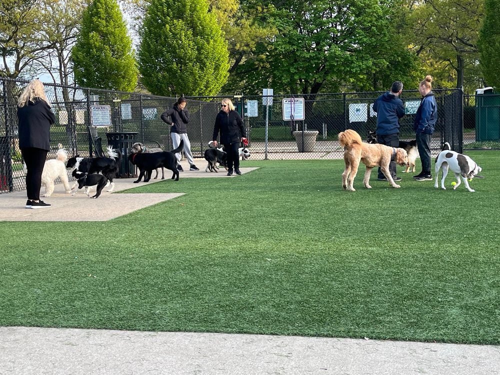 Unleash the Fun: A Complete Guide to Eisenhower Dog Run in East Meadow