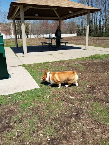 Tail-Waggers' Haven: Discovering the Oyster Bay Dog Park in Massapequa – A Quick Hop from Hicksville Unnamed 1