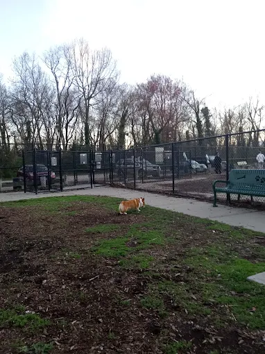 Tail-Waggers’ Haven: Discovering the Oyster Bay Dog Park in Massapequa – A Quick Hop from Hicksville